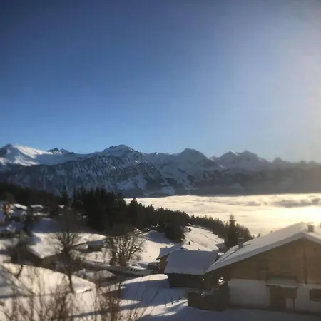 Friedheim By Interhome Appartement Beatenberg